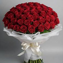 Букет 101 Красная роза Блэк Мэджик в Любохне