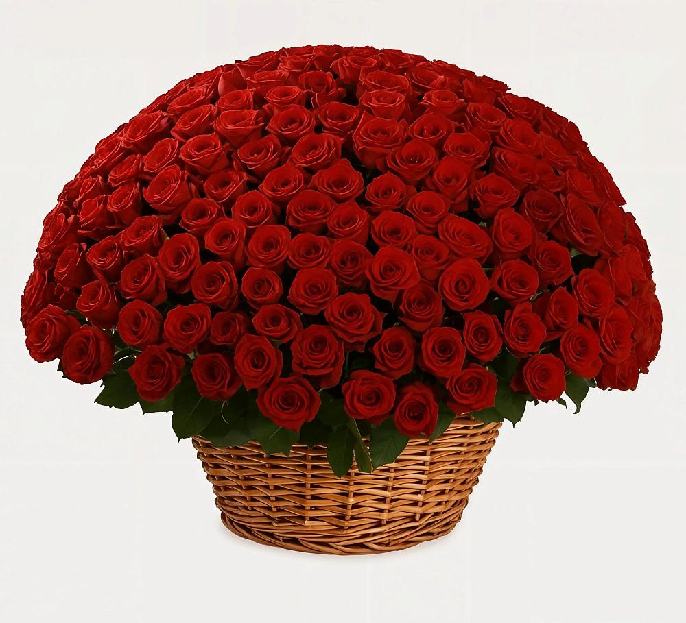 Премиум букет из: Розы в Любохне