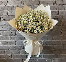 Букет цветов из:  Ромашки в Любохне