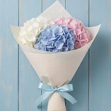 Букет цветов из:  Гортензия в Любохне