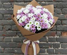 Букет цветов из:  Хризантемы #REPLACE_PRED# Любохне