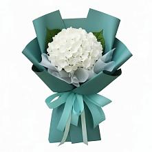 Букет цветов из:  Гортензия в Любохне